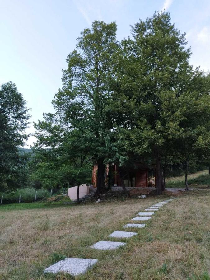 Kuca U Sumi - Forest House Near National Park Una - Air Spa Lohovo Bihać Екстериор снимка