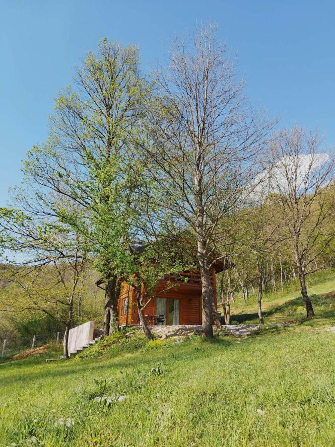 Kuca U Sumi - Forest House Near National Park Una - Air Spa Lohovo Bihać Екстериор снимка