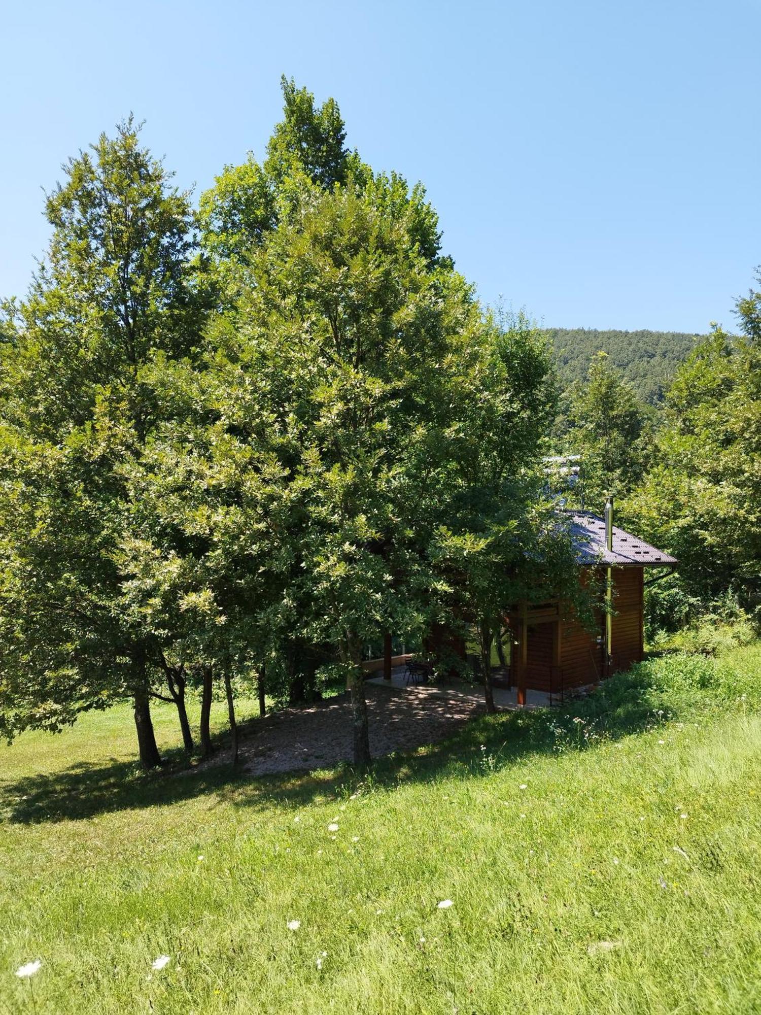 Kuca U Sumi - Forest House Near National Park Una - Air Spa Lohovo Bihać Екстериор снимка